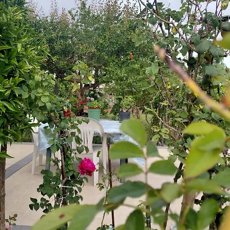 Villa delle rose-3